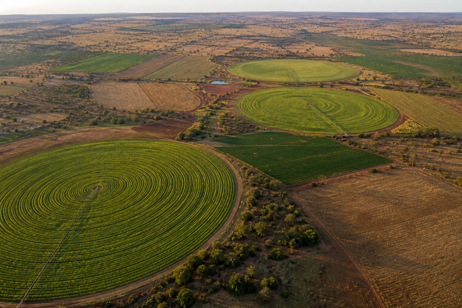 AI-generated aerial view of farmland
